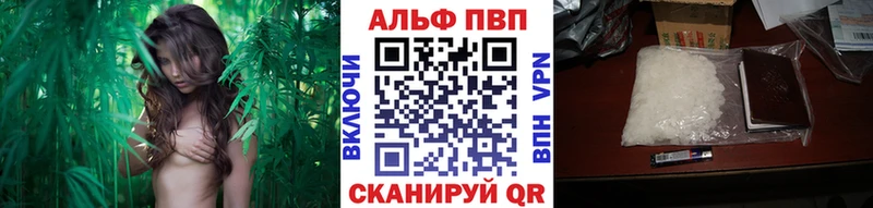 Альфа ПВП СК  как найти   Торжок 