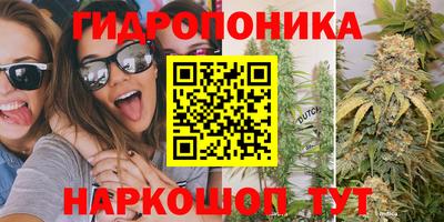 дживик Заводоуковск
